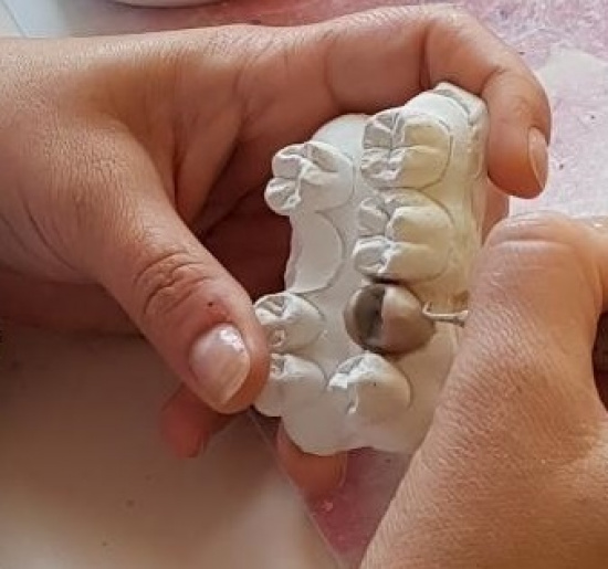 Zawód Technik Dentystyczny